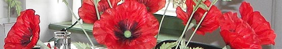  Sebnitzer Seidenblumen